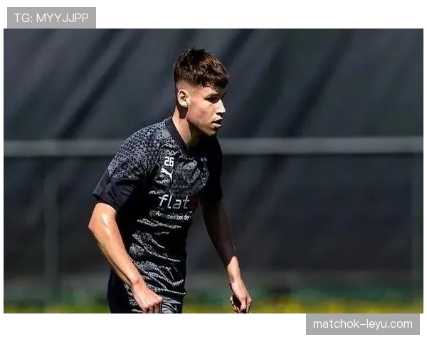 德甲转会综述：新援闪耀赛场，未来之星备受期待