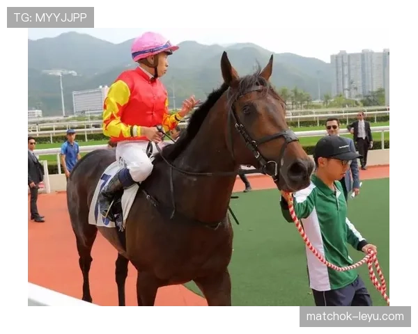 波尔图青训再结硕果，新星闪耀引多方关注