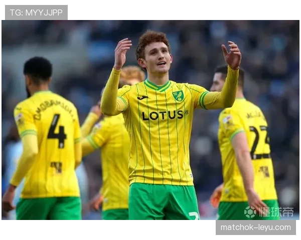 诺维奇卡罗路球场启动全新升级计划，球迷观赛体验将迈上新台阶