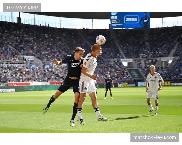 霍勒尔中场爆发助球队关键取胜,状态回暖成德甲焦点 霍勒尔中场爆发助球队关键取胜,状态回暖成德甲焦点