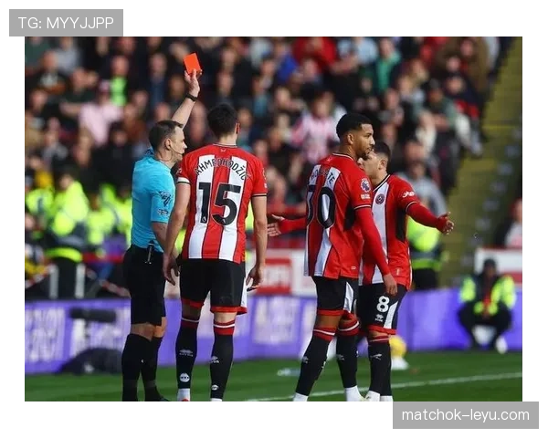 谢菲联球迷数量激增,球队支持者热情引关注 谢菲联球迷数量激增,球队支持者热情引关注